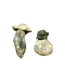 Buy Albino Penis Envy Mushrooms