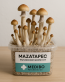 Buy Mazatapec Mushroom Grow Kit