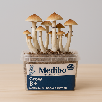 Buy Magic Mushroom Grow Kit B+
