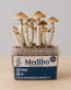 Buy Magic Mushroom Grow Kit B+