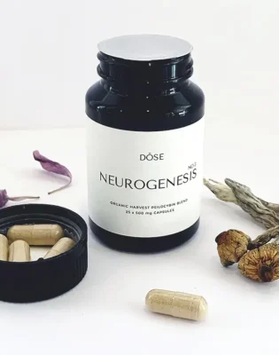 Buy Mushroom Capsules