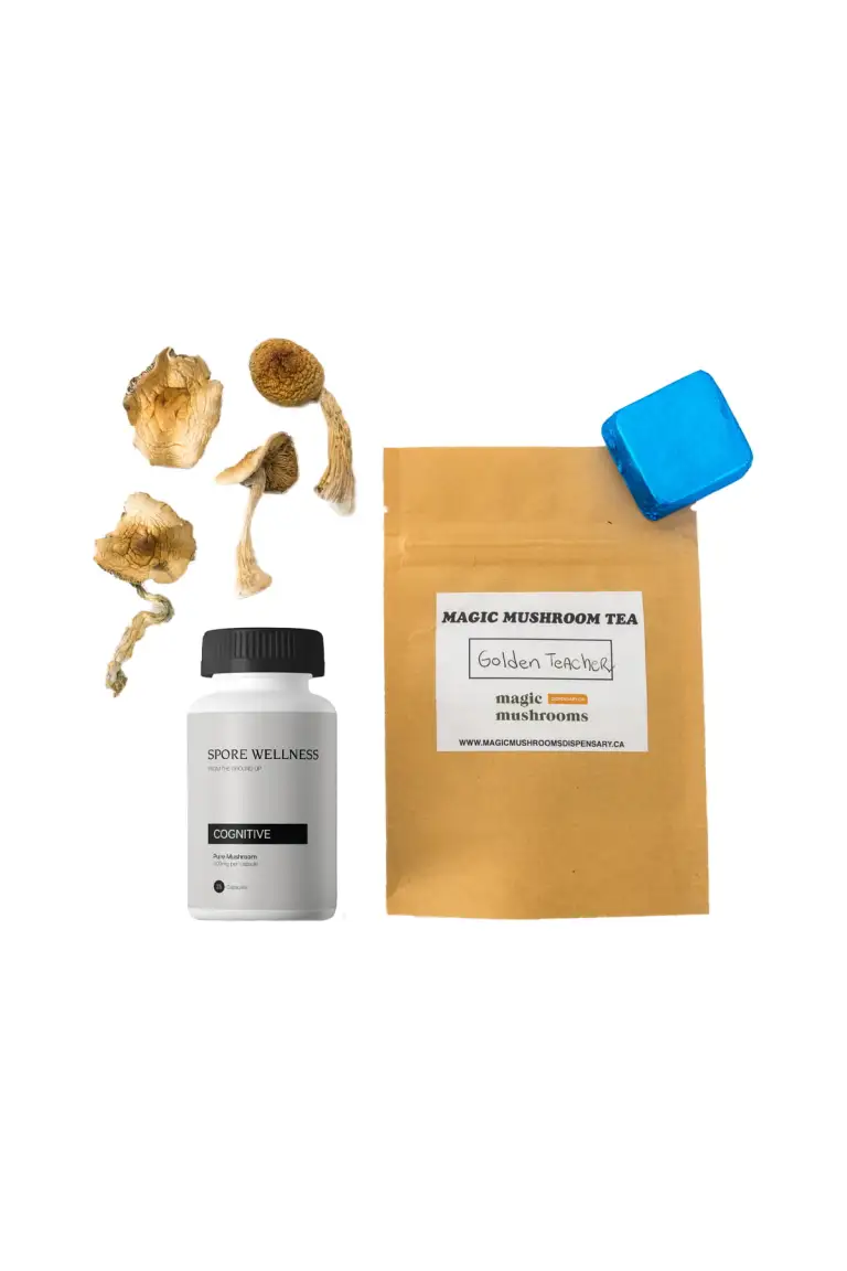 Buy First-Timer Magic Mushroom Kit